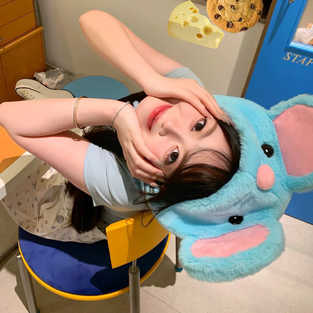 北极狗